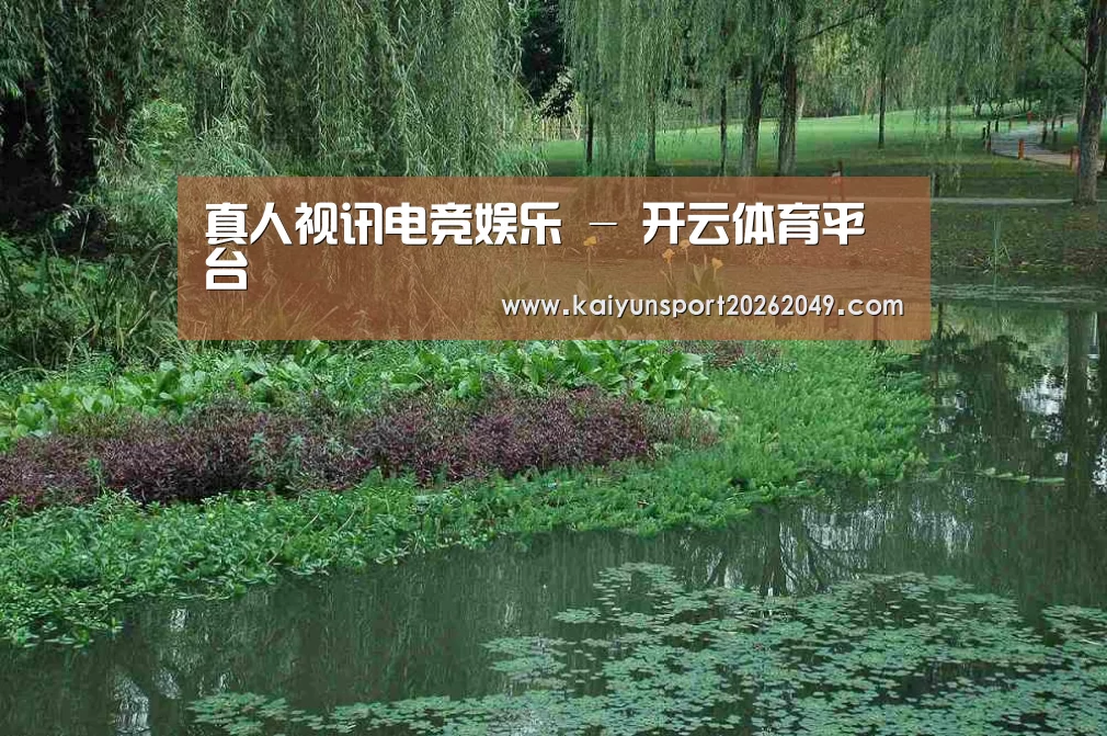 案例展示一(图1)