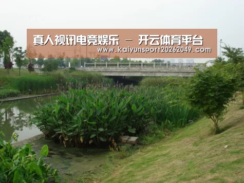 案例展示四(图1)