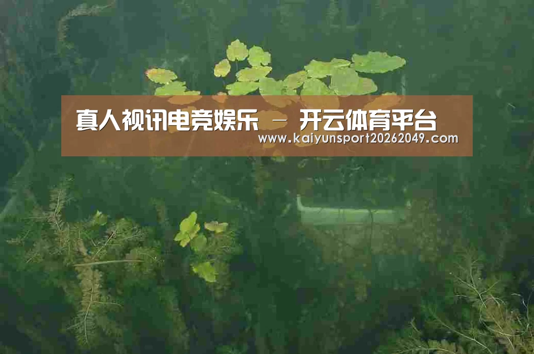 案例展示三(图1)