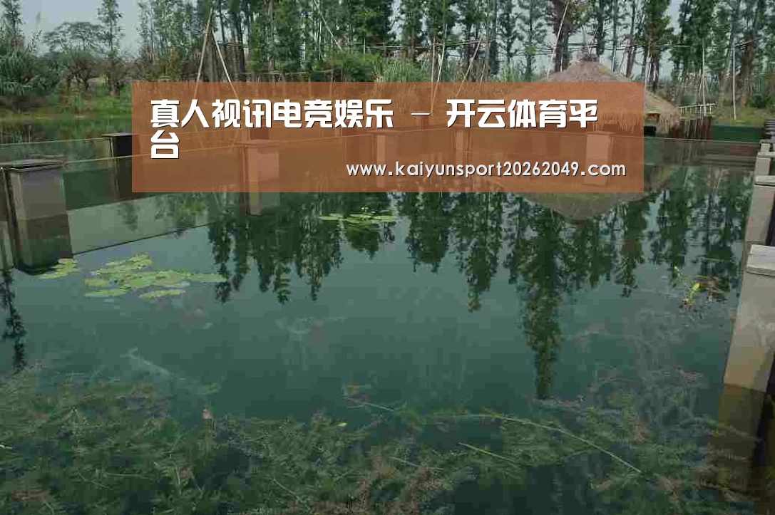 案例展示二