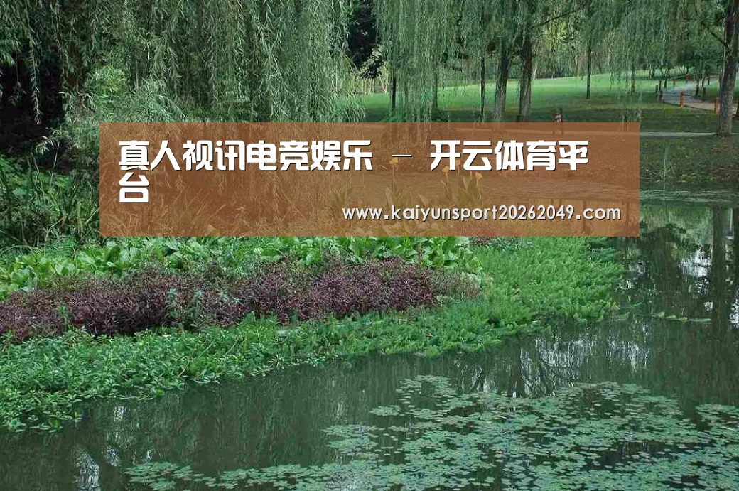 案例展示一
