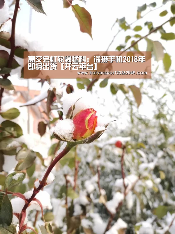高交会虹软爆猛料:深摄手机2018年即将出货【开云平台】(图1) 开云电竞