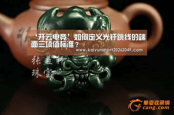 ‘开云电竞’如何定义光纤跳线的端面三项值标准?(图3) 开云电竞