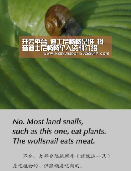 开云平台_迪士尼畅畅是谁 抖音迪士尼畅畅个人资料介绍(图2) 开云电竞